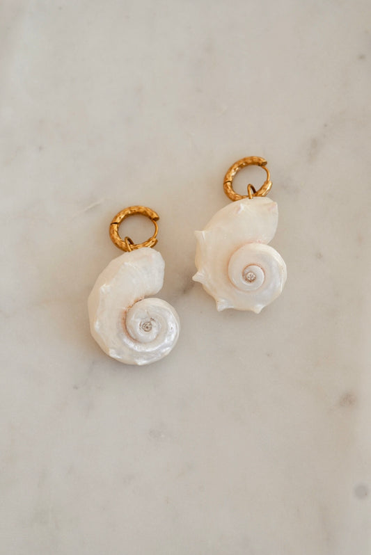 Shell Earrings
