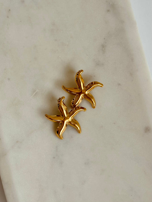 Starfish